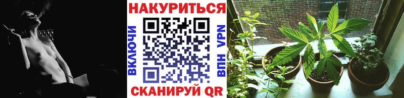 Купить наркотики сайты Вязники Бошки Шишки  APVP  АМФ  Мефедрон  Гашиш 