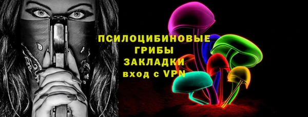 бошки Белокуриха