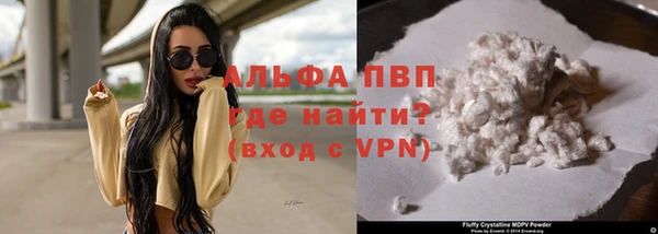 бошки Белокуриха