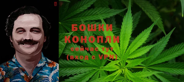 бошки Белокуриха