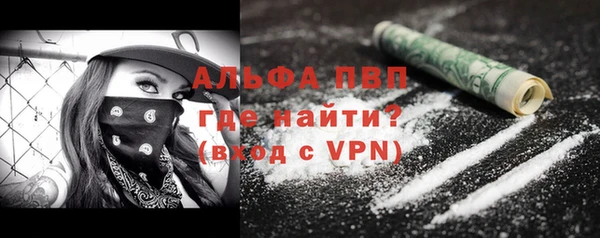 бошки Белокуриха